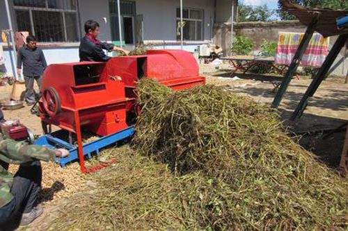 2600型花生摘果機(jī)濕摘作業(yè)效果